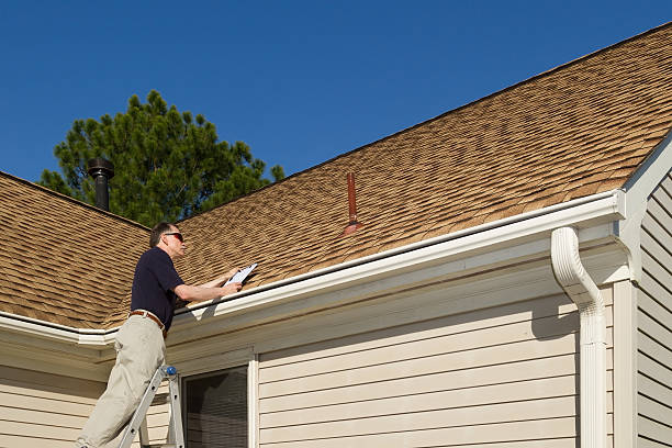 Roof Moss and Algae Removal in Ithaca, MI